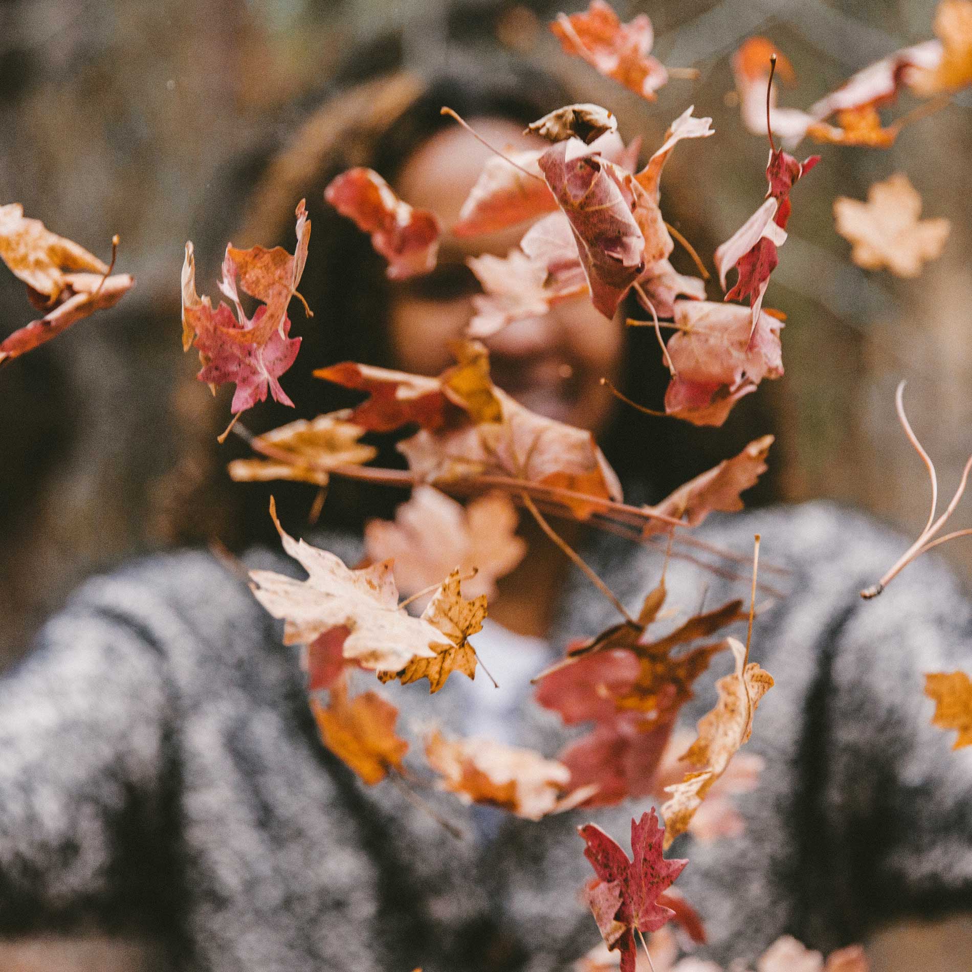 8 Dinge, worauf wir uns im Herbst freuen